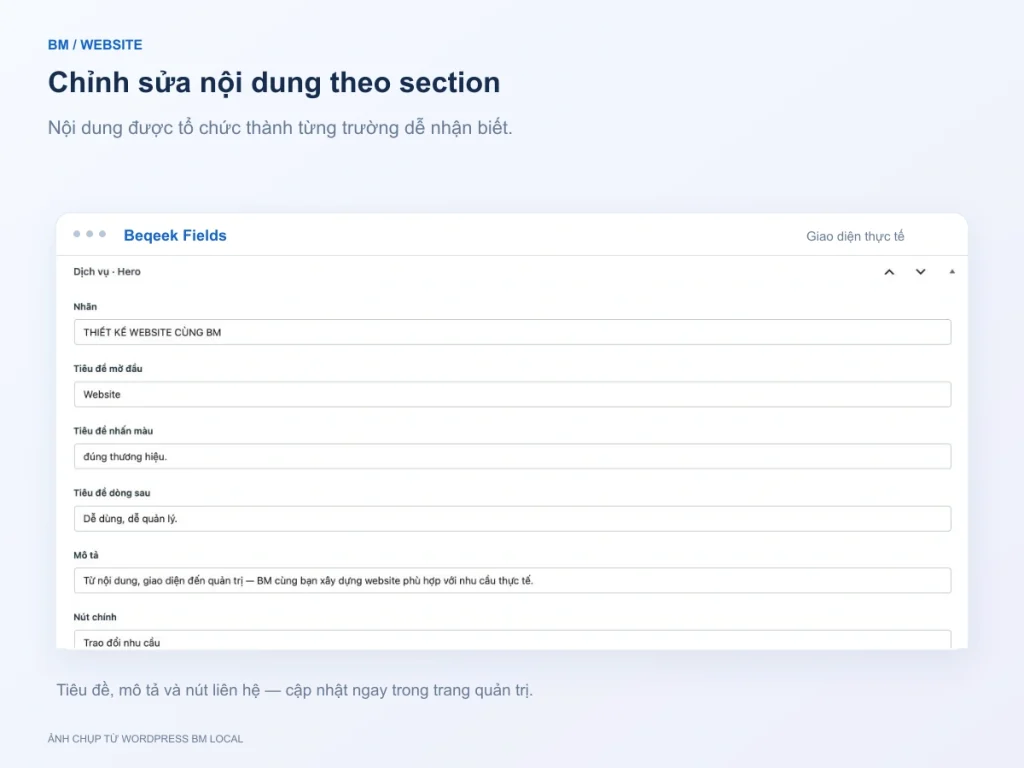 Giao diện Beqeek Fields trong WordPress BM với các trường nhãn, tiêu đề, mô tả và nút chính của phần mở đầu